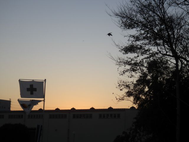 f:id:handpanshoman:20201206212141j:plain