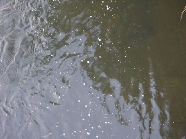 f:id:handpanshoman:20201207193702j:plain
