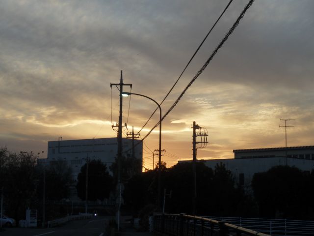 f:id:handpanshoman:20201207194443j:plain