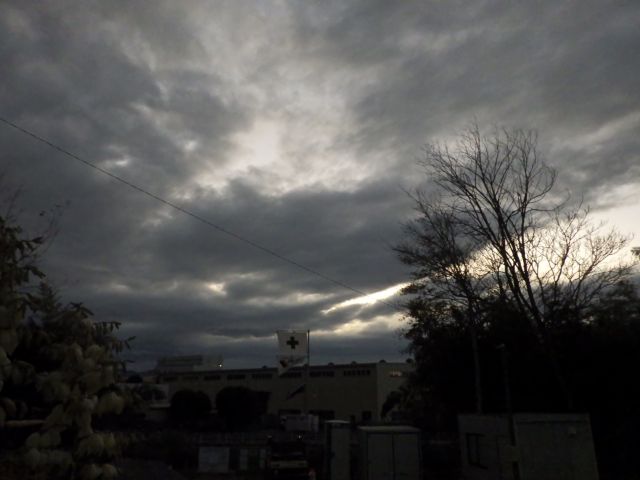 f:id:handpanshoman:20201208193418j:plain