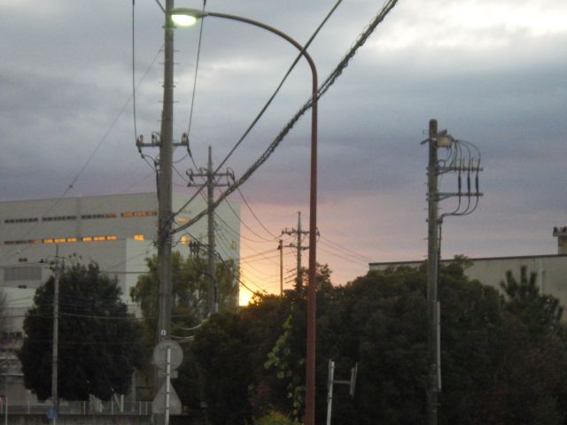f:id:handpanshoman:20201208193456j:plain