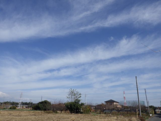 f:id:handpanshoman:20201211190717j:plain