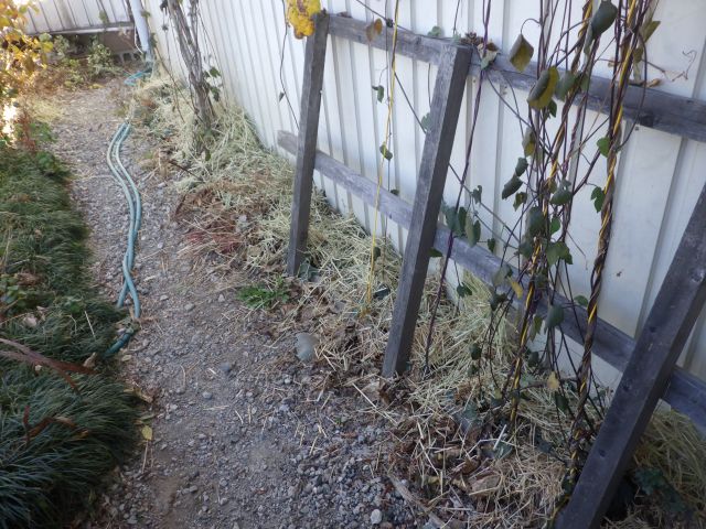 f:id:handpanshoman:20201215190352j:plain