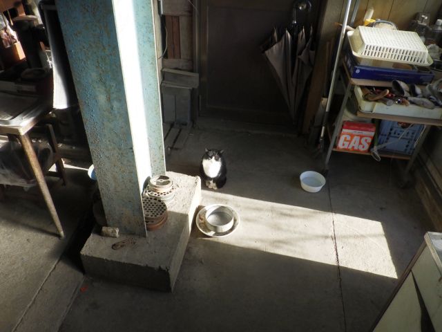 f:id:handpanshoman:20201219183737j:plain