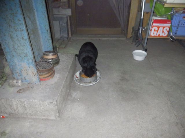 f:id:handpanshoman:20201219183834j:plain