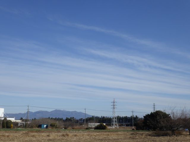 f:id:handpanshoman:20201227194005j:plain