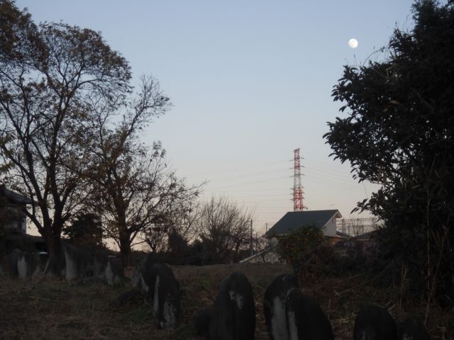 f:id:handpanshoman:20201228190133j:plain