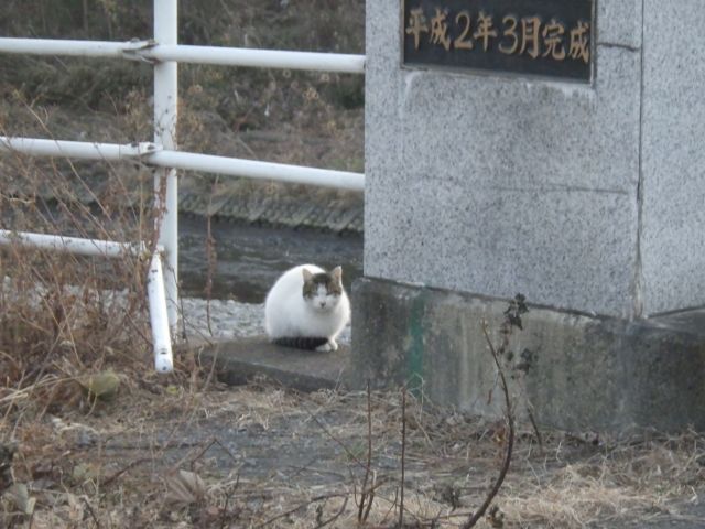 f:id:handpanshoman:20201229182717j:plain