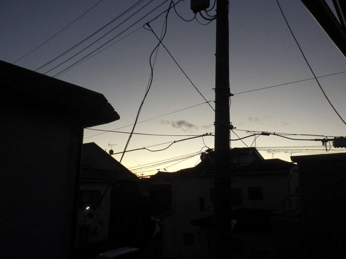 f:id:handpanshoman:20210101205021j:plain