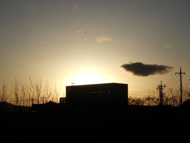 f:id:handpanshoman:20210103200420j:plain