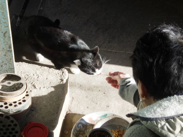 f:id:handpanshoman:20210104182556j:plain