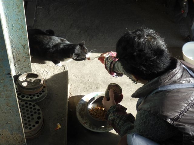 f:id:handpanshoman:20210118190133j:plain