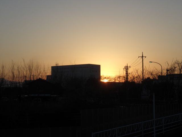 f:id:handpanshoman:20210121185743j:plain