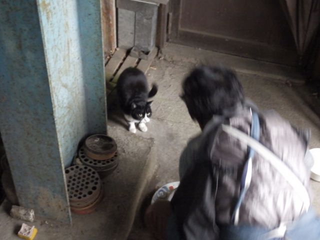 f:id:handpanshoman:20210123185533j:plain