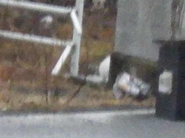 f:id:handpanshoman:20210124184436j:plain