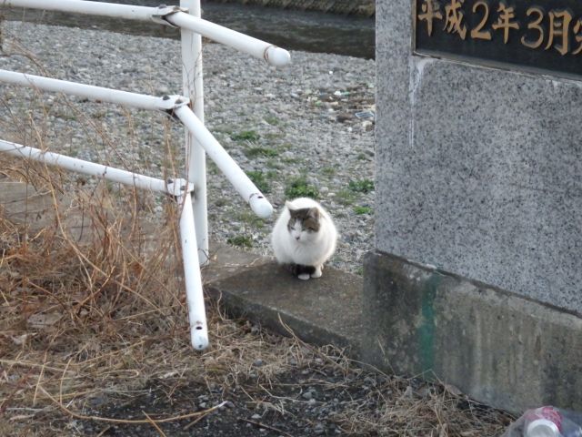 f:id:handpanshoman:20210125183613j:plain