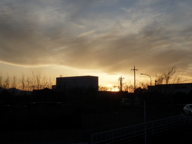 f:id:handpanshoman:20210125184018j:plain