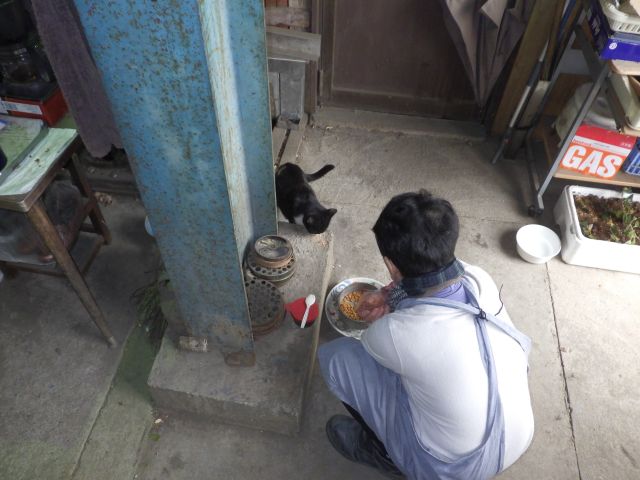 f:id:handpanshoman:20210302190022j:plain