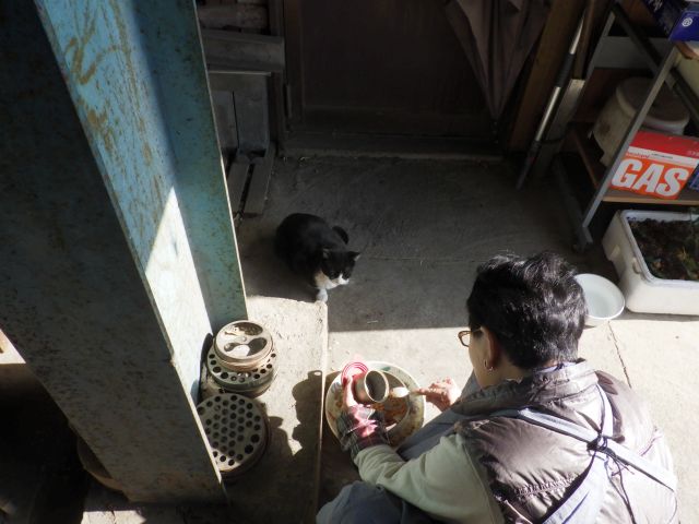 f:id:handpanshoman:20210304192732j:plain