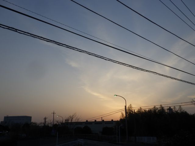 f:id:handpanshoman:20210319191701j:plain