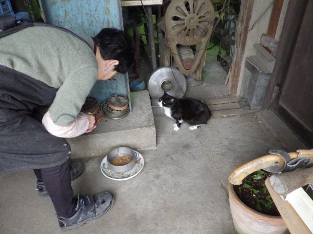 f:id:handpanshoman:20210320185429j:plain
