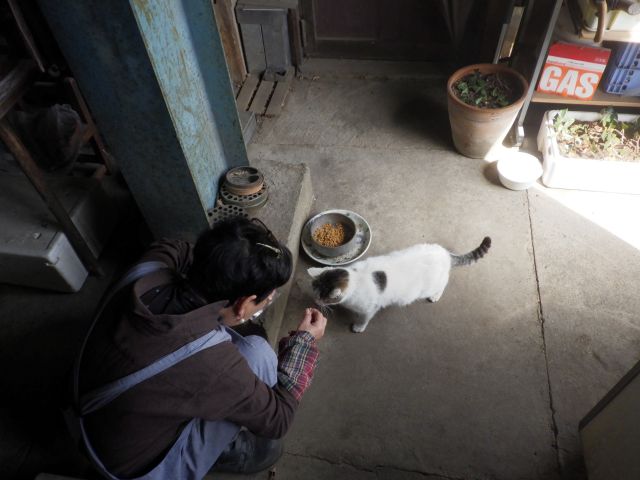 f:id:handpanshoman:20210322191546j:plain