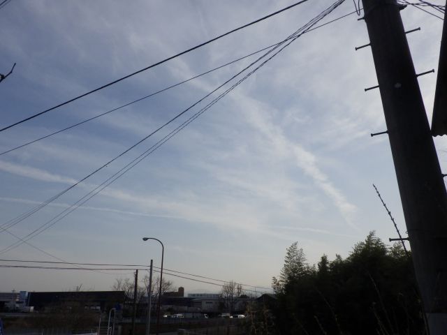 f:id:handpanshoman:20210324190901j:plain