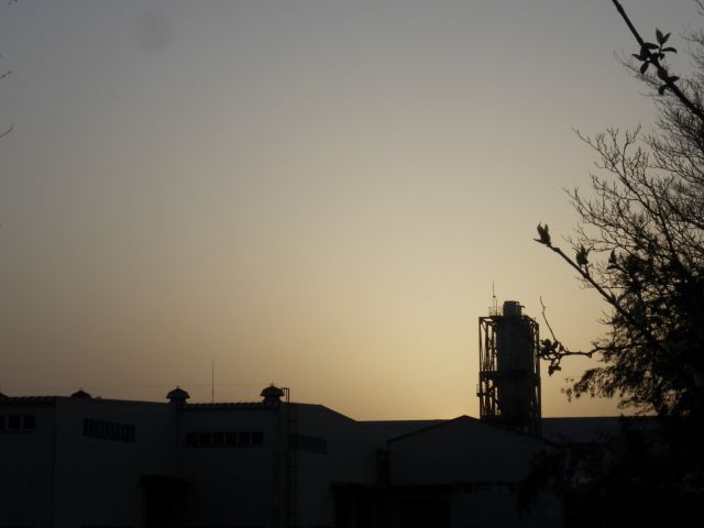 f:id:handpanshoman:20210331191720j:plain