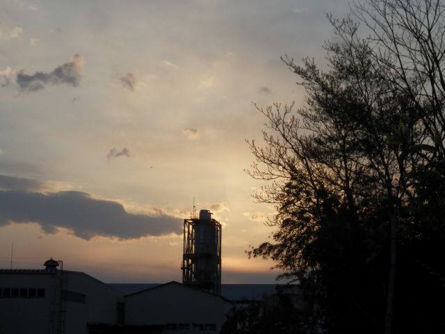 f:id:handpanshoman:20210408201523j:plain