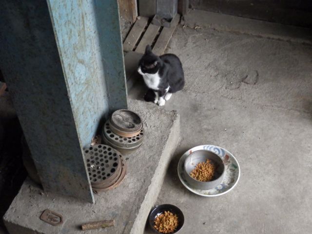 f:id:handpanshoman:20210505184510j:plain