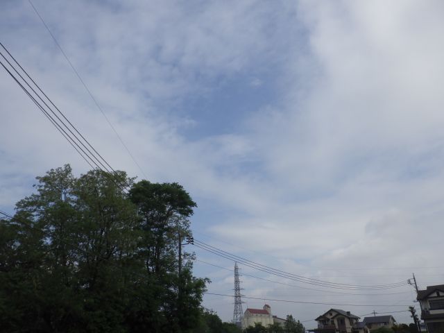 f:id:handpanshoman:20210518191417j:plain