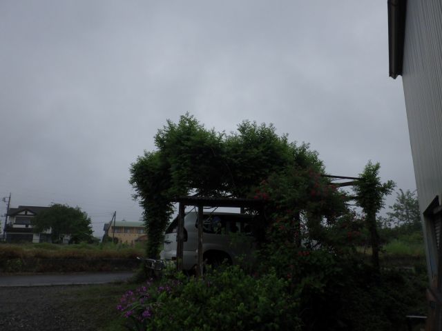 f:id:handpanshoman:20210519192433j:plain