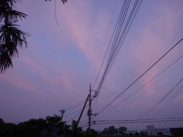 f:id:handpanshoman:20210519192641j:plain