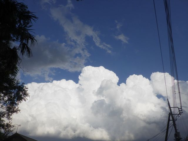 f:id:handpanshoman:20210530185545j:plain