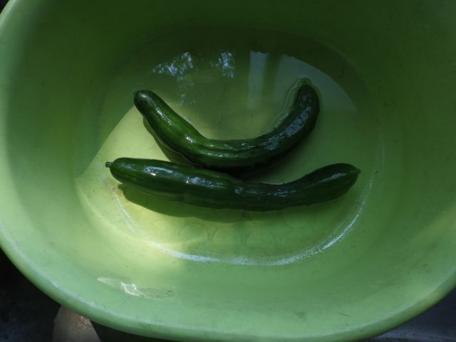 f:id:handpanshoman:20210801175731j:plain