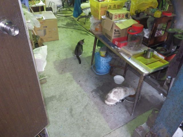 f:id:handpanshoman:20210927183553j:plain