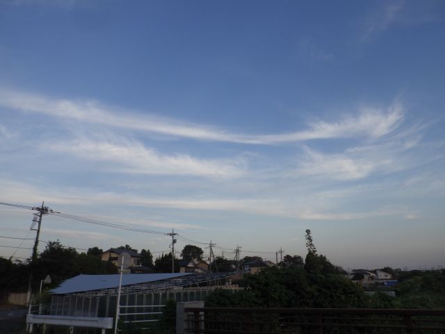 f:id:handpanshoman:20211004192249j:plain