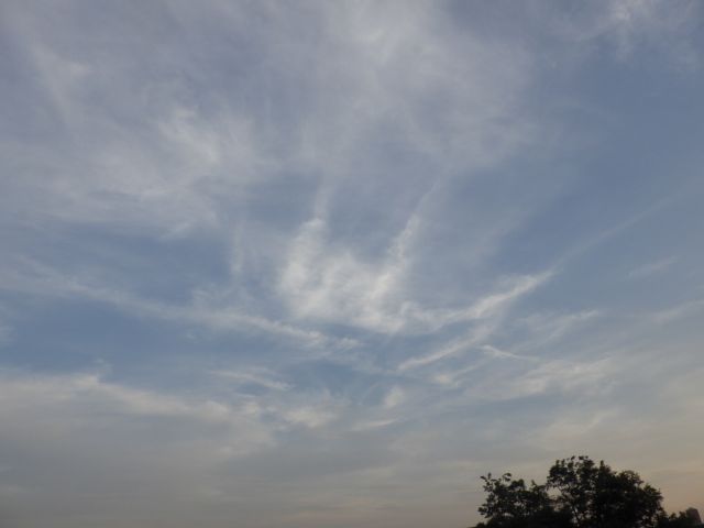 f:id:handpanshoman:20211005192255j:plain