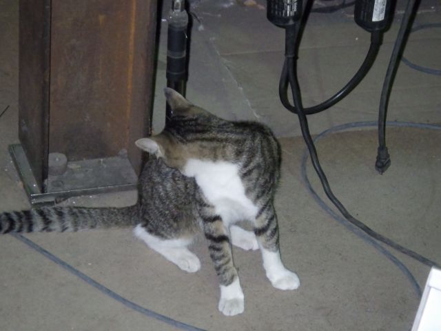 f:id:handpanshoman:20211012191355j:plain