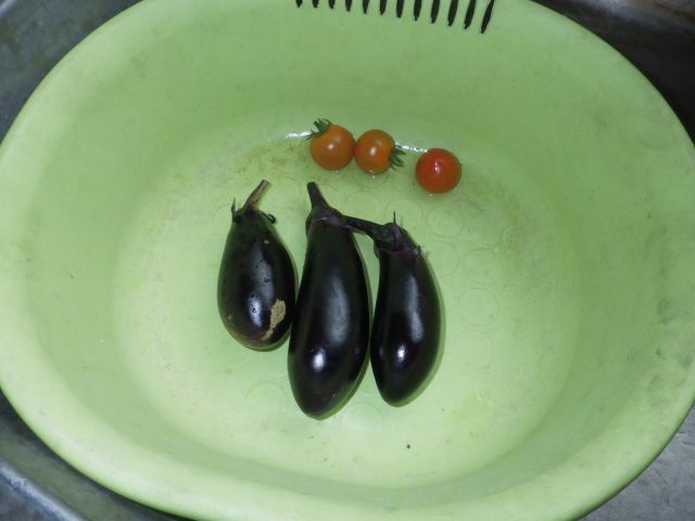 f:id:handpanshoman:20211012191544j:plain