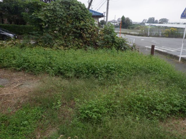 f:id:handpanshoman:20211016181530j:plain