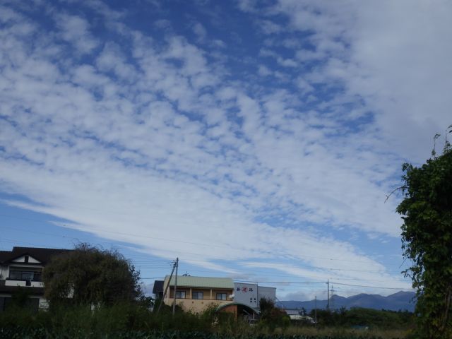 f:id:handpanshoman:20211017194503j:plain