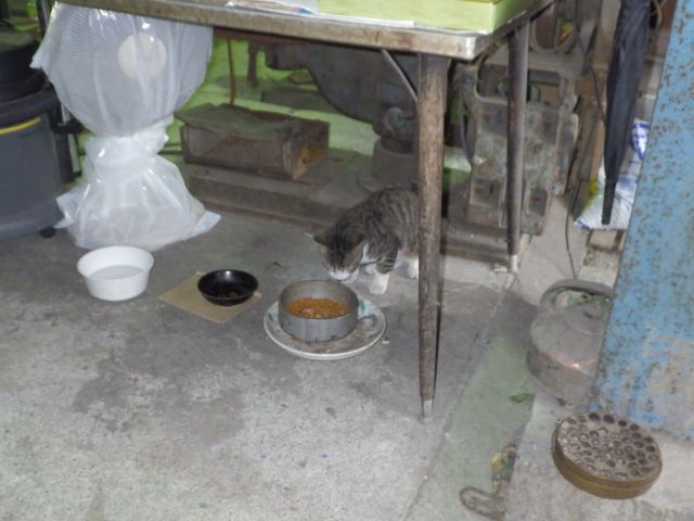f:id:handpanshoman:20211022185116j:plain
