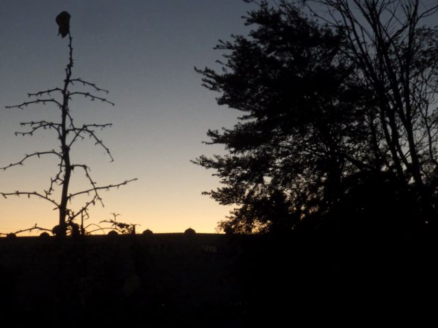 f:id:handpanshoman:20211029184648j:plain