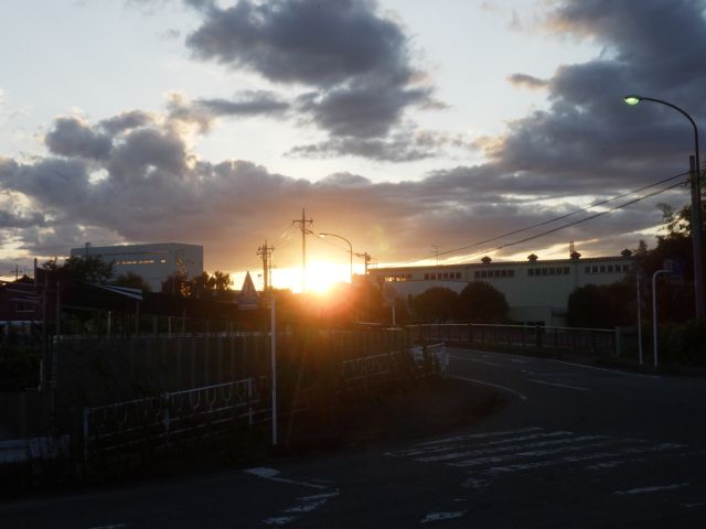 f:id:handpanshoman:20211103183402j:plain