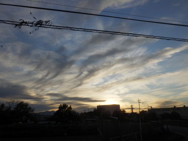 f:id:handpanshoman:20211129192433j:plain
