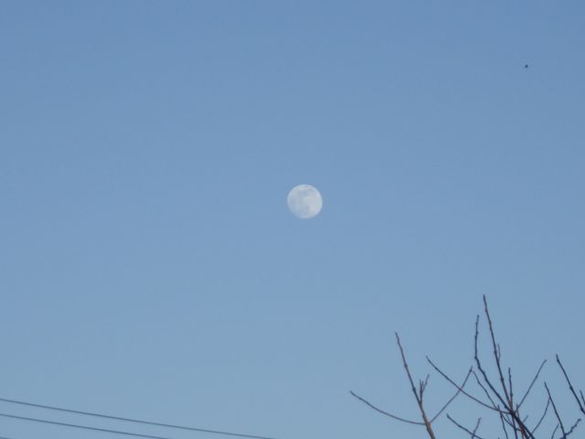 f:id:handpanshoman:20220116174003j:plain