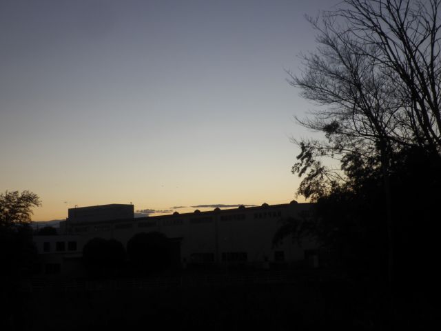 f:id:handpanshoman:20220116174107j:plain