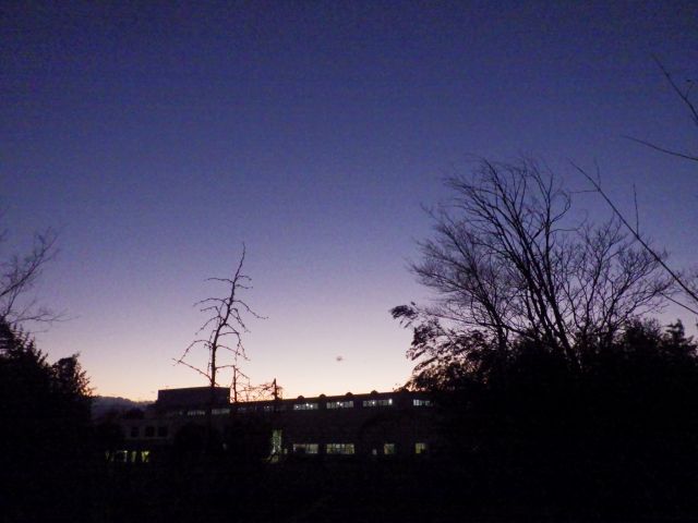 f:id:handpanshoman:20220118181844j:plain