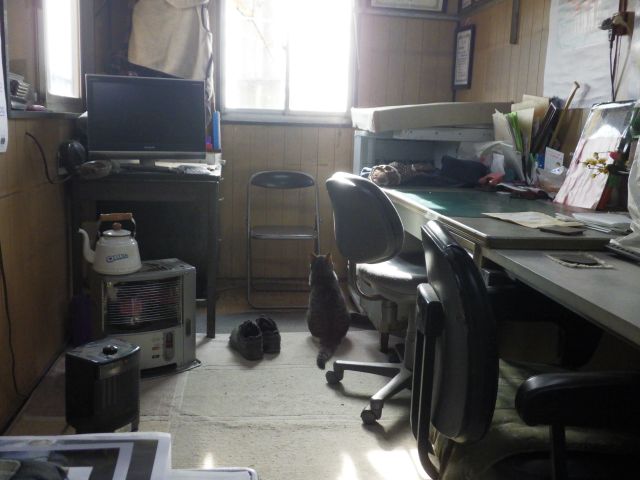 f:id:handpanshoman:20220123174836j:plain